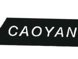 CAOYANG，YANG是什么意思？