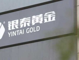 京投银泰股票（程少良简介？）