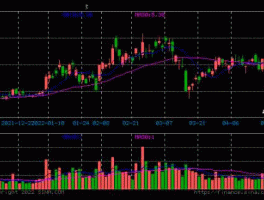 石油股市行情新消息（石油股票最新消息）