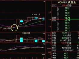 600275股票，有没有水产，海产类股票？