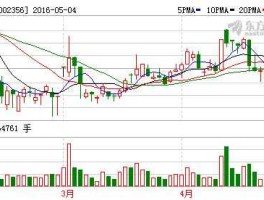 002356浩宁达，外资经济的公司有哪些？