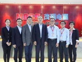 茂硕电源科技（茂硕电源科技股份有限公司是国企吗）