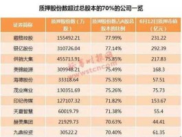 000981股票，兰州上市公司有哪些？