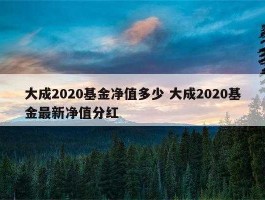 大成2020今日净值是多少精（大成2020今日净值是多少钱）