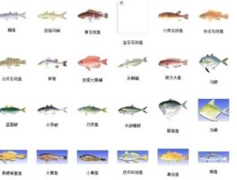 深海鱼类（浅海和深海的生物种类各有多少？）