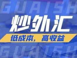 炒外汇用什么平台（炒外汇用什么平台交易）
