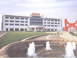新民科技股吧，亚洲纺织集团排名？