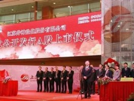 井神股份（生产盐产品的上市公司？）