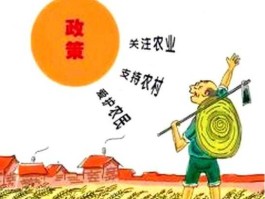 以工促农？为了支持农业国家推行了什么政策？