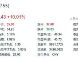 日辰股份目前不具备食盐生产能力，丙子岁是什么意思？