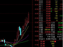股市行情600223（股市行情600639）
