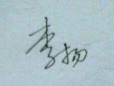 李杨 取一个李杨开头四个字的男孩名字？