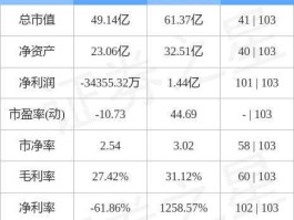 000711股票（如何看待京蓝科技？）