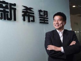 民生银行h股（民生银行的创办人是谁？）