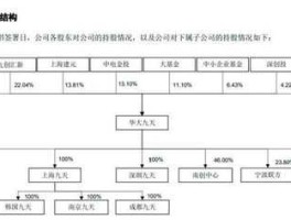 200725，京东方公司介绍？
