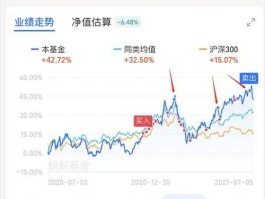 大盘基金 什么是大盘蓝筹股基金？