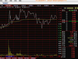鼎立股份股票（世纪鼎立是怎样的一个公司？）
