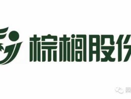 棕榈股份（棕榈股份，读音？）