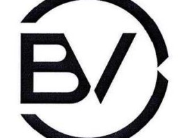 金融b，BV金融是什么意思？