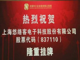 凯鹏华盈 亚洲创新集团是大公司吗？