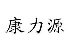 康力源？康力源是什么公司？