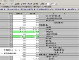 久其软件？久其报表显示不出来？