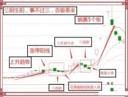 股市惊人规律（五步选股法）