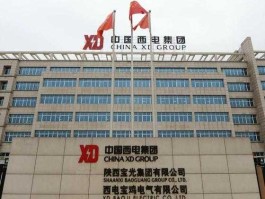 中国西电？中国西电是发电还是储电？