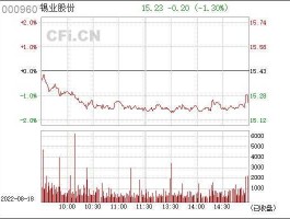 000960 请老师帮忙看看000960锡业股份？