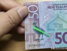 新西兰人民币(nzdcny) 财经（一元新西兰币=多少人民币？）