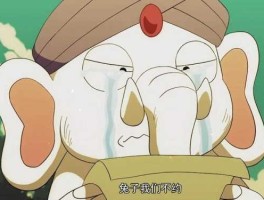 抗中奇侠 那年那兔那些事第一季的白象是谁？