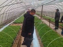 玻璃纤维价格 6米长的玻璃纤维拱棚杆多少钱一根？