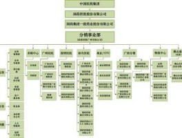 国药集团一致药业，国药集团下属公司排名？