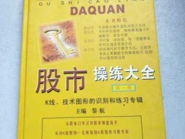 黎航从股市赚了多少（黎航主编一股票大全第一册）