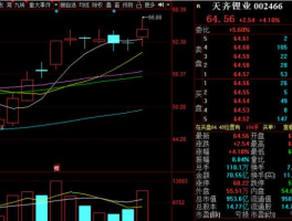 002466股票，盐湖提锂储能方面的股票？