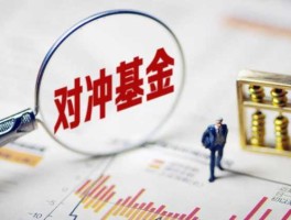 对冲基金到底是什么（什么是对冲基金，对冲基金到底是什么？）