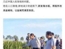 袁隆平沙漠海水稻，袁隆平资料？