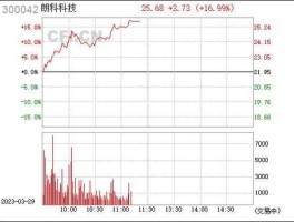 300042股票（朗科科技主营业务？）