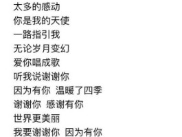 听我说唱不得上当受骗？刷字谐音歌词？