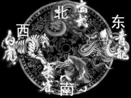 青龙吧，三国吧兄弟青龙红还是朱雀好？