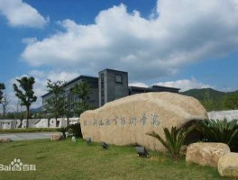 杭州科技（杭州的科技大学？）