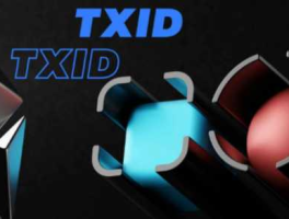 交易迟迟未到账怎么办？如何查询交易状态？