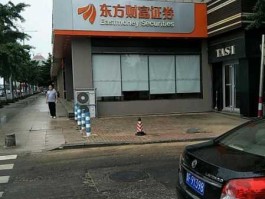 财富东方 东方财富是哪个证券公司？