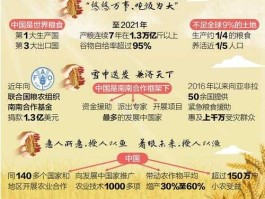 粮食危机 粮食危机普通人该如何应对？