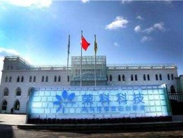 300290股票？荣科科技股份有限公司怎么样？