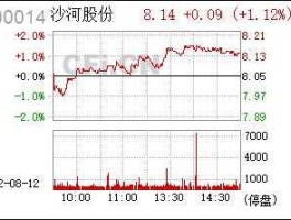 沙河股份股票，上市公司股票主业用什么字母表示？