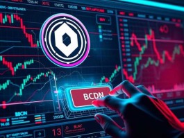 ‌SRNT币价值怎样？Serenity白皮书