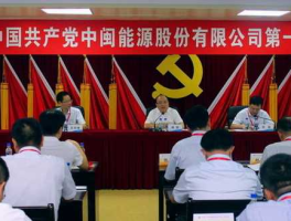 中闽能源 中闽能源和南平造纸厂的关系？