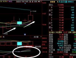 600611大众交通（上交所纯b股的股票有哪些？）