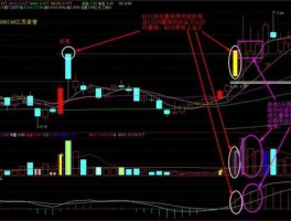 600746股票 600746换手率高达28%，说明什么问题啊？